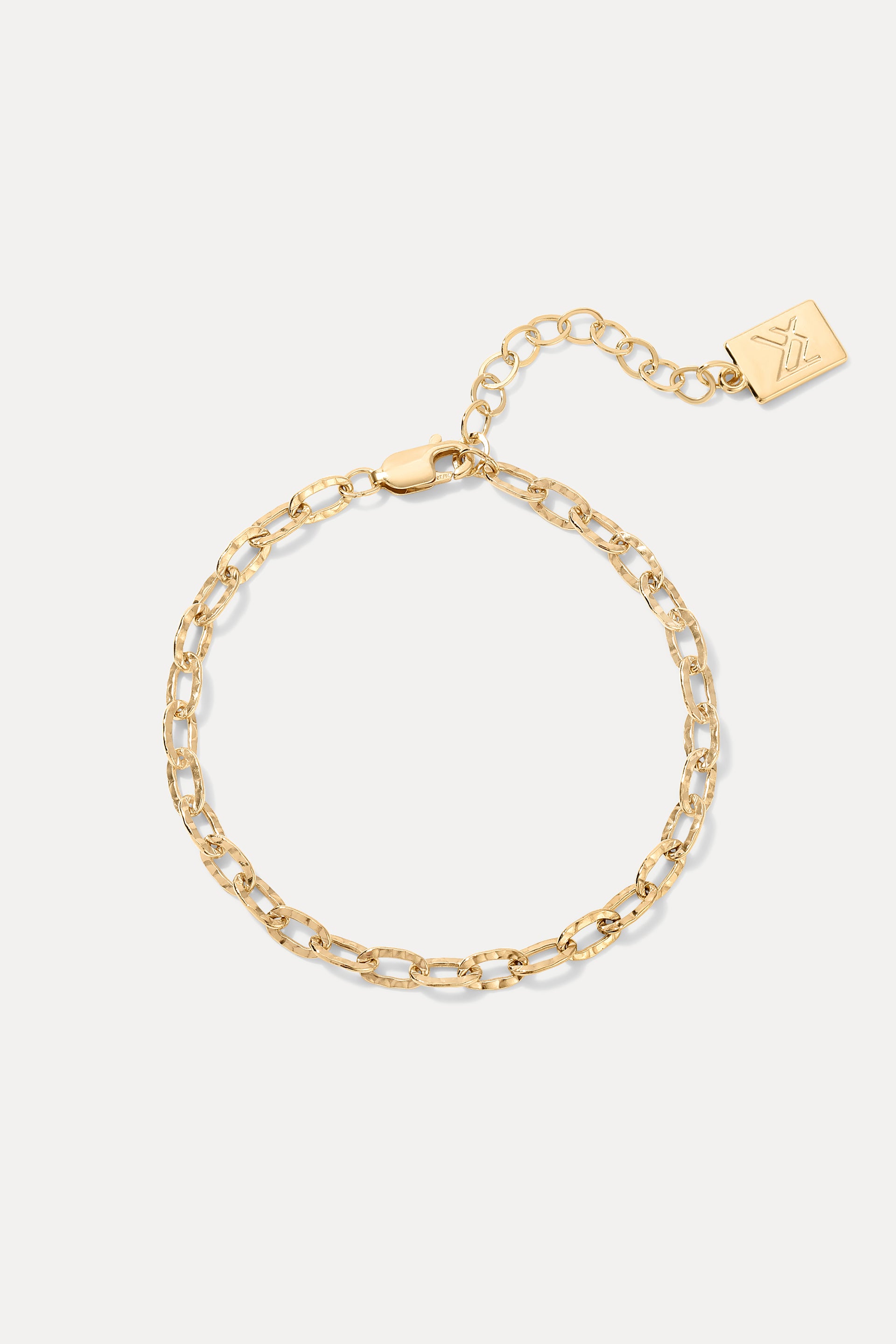 Gold-filled Emily Bracelet displayed in a circle on a white background, showing its hammered chain links, extender, and logo tag.