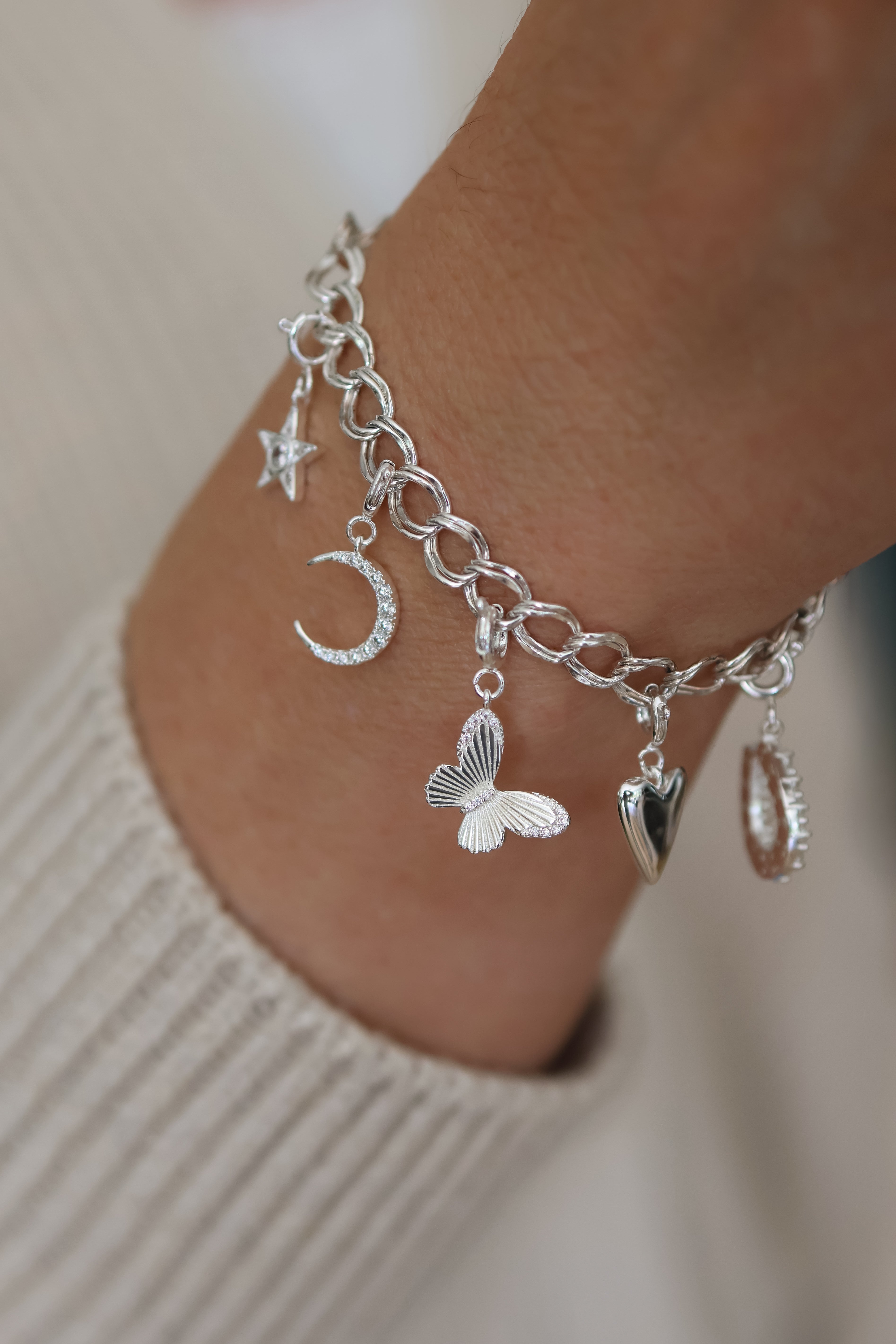 Butterfly Clip On Charm
